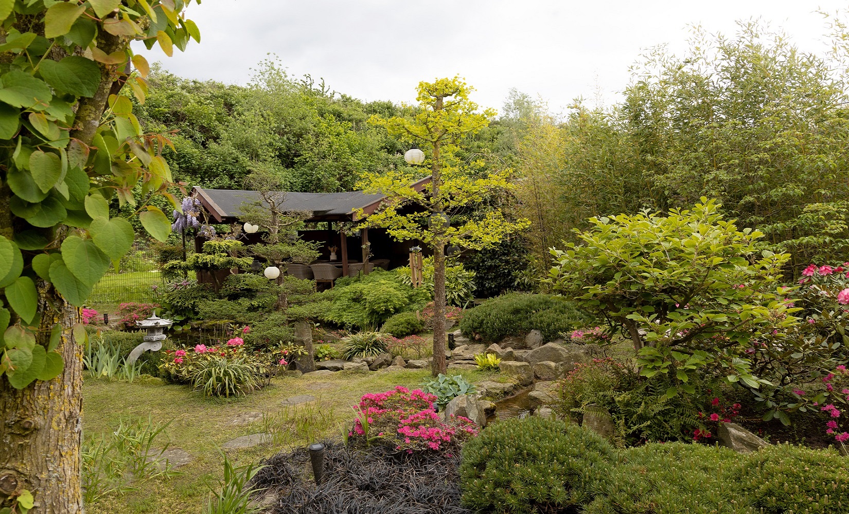 Japangarten – Tipps für den japanischen Gartentraum