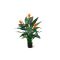 Designplants Strelitzia Kunstpflanze (h: 115 cm) - Orange für Topfgröße M
