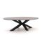 Bellagio Induno Ellips Low Dining Gartentisch 240x120 cm