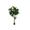 Designplants Lyrata Y Kunstbaum (h: 170 cm)