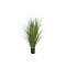 Designplants Schilfgras Kunstpflanze (h: 100 cm)