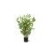 Designplants Japanischer Bambus Kunstpflanze (h: 60 cm)