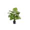 Designplants Calathea Fasciata Kunstpflanze (h: 70 cm) - Grün für Topfgröße S