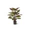 Designplants Red Calathea Makoyana Kunstpflanze (h: 60 cm) - Grün für Topfgröße S