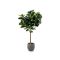Designplants/Luca Lifestyle Lyrata Y Kunstbaum (h:220 cm) mit Grigio Balloon Blumentopf - Grün (Blumentopf = Natural Concrete)
