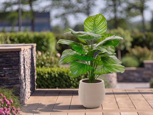 Designplants/Luca Lifestyle Calathea Fasciata Kunstpflanze (h:70 cm) mit Bordo Balloon Blumentopf - Grün (Blumentopf = Sand)