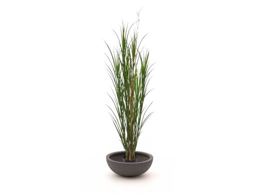 Designplants/Luca Lifestyle Riedgras Kunstpflanze (h:165 cm) mit Terreno Bowl Blumentopf - Grün (UV beständig) (Blumentopf = Ash Brown)