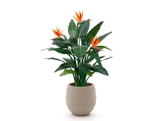 Designplants/Luca Lifestyle Strelitzia Kunstpflanze (h:115 cm) mit Bordo Balloon Blumentopf
