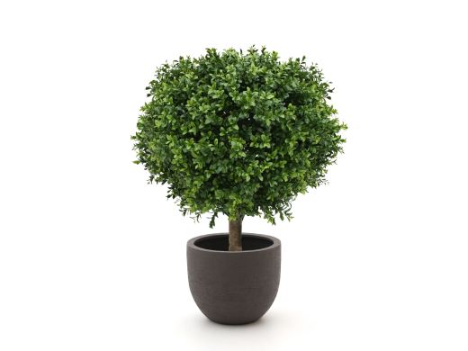 Designplants/Luca Lifestyle Buchsbaum Kugel Kunstpflanze (h:50 cm) mit Terreno New Egg Blumentopf