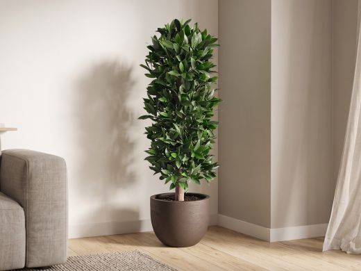Designplants/Luca Lifestyle Lorbeer Säule Kunstpflanze (h:125 cm) mit Terreno New Egg Blumentopf - Grün (UV beständig) (Blumentopf = Ash Brown)