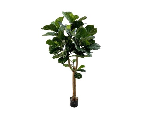 Designplants Lyrata Y Kunstbaum (h: 170 cm)