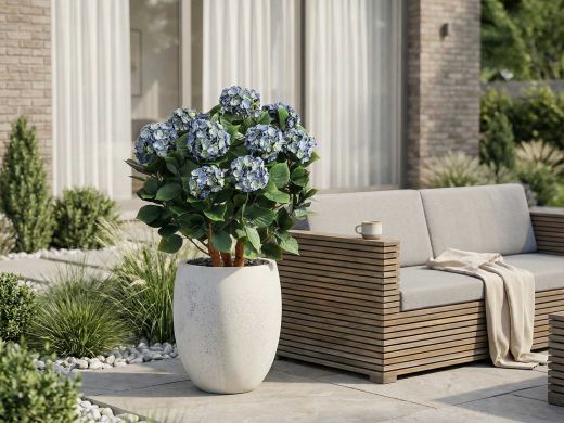 Designplants/Luca Lifestyle Hortensie Kunstpflanze (h:80 cm) mit Grigio Balloon Blumentopf - Blau (UV beständig) (Blumentopf = Antique White)