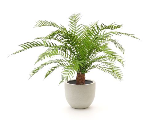 Designplants/Luca Lifestyle Alsophillia Farn Kunstpflanze (h:80 cm) mit Grigio New Egg Blumentopf