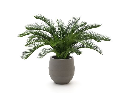 Designplants/Luca Lifestyle Cycas Palme Kunstpflanze (h:60 cm) mit Bordo Balloon Blumentopf