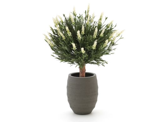 Designplants/Luca Lifestyle Lavendel Kugel Kunstpflanze (h:60 cm) mit Bordo Tall Balloon Blumentopf