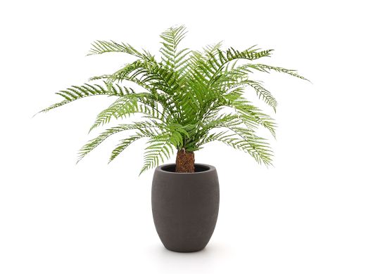 Designplants/Luca Lifestyle Alsophillia Farn Kunstpflanze (h:80 cm) mit Terreno Tall Balloon Blumentopf