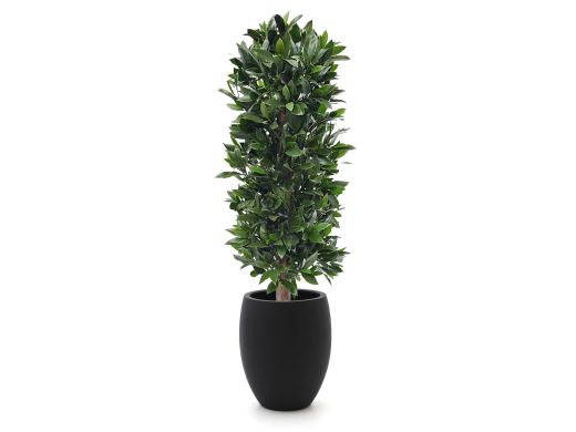 Designplants/Luca Lifestyle Lorbeer Säule Kunstpflanze (h:125 cm) mit Grigio Tall Balloon Blumentopf