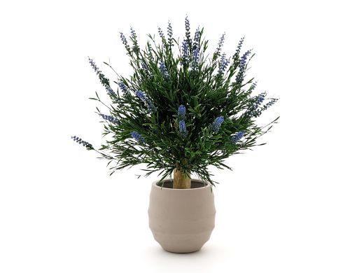 Designplants/Luca Lifestyle Lavendel Kugel Kunstpflanze (h:60 cm) mit Bordo Balloon Blumentopf
