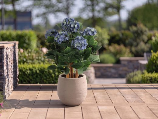Designplants/Luca Lifestyle Hortensie Kunstpflanze (h:65 cm) mit Bordo Balloon Blumentopf - Blau (UV beständig) (Blumentopf = Sand)