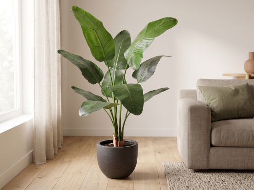 Designplants/Luca Lifestyle Strelitzia Nicolai Kunstpflanze (h:145 cm) mit Terreno New Egg Blumentopf - Grün (Blumentopf = Ash Brown)