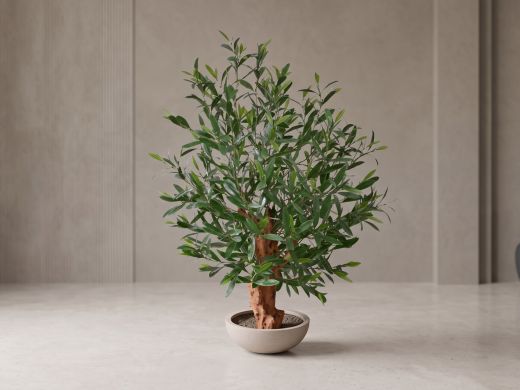 Designplants/Luca Lifestyle Oliven Bonsai Kunstpflanze (h:90 cm) mit Terreno Bowl Blumentopf - Grün (UV beständig) (Blumentopf = Sand)