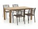 Apple Bee Hawaii/ROUGH-S 160 cm Gartenmöbel-Set 5-teilig stapelbar