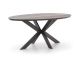 Bellagio Fidenza Gartentisch oval 180x103 cm