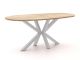 ROUGH-Y Ellips Bartisch 240x120 cm