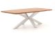 Bellagio Induno Dänisch oval Gartentisch 240x120 cm