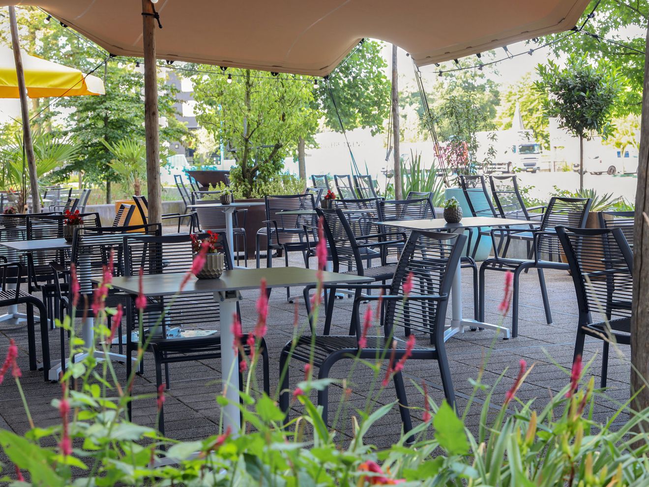 Apple Bee Hawaii Gartenstuhl stapelbar Grau  Rabatt: 18 %