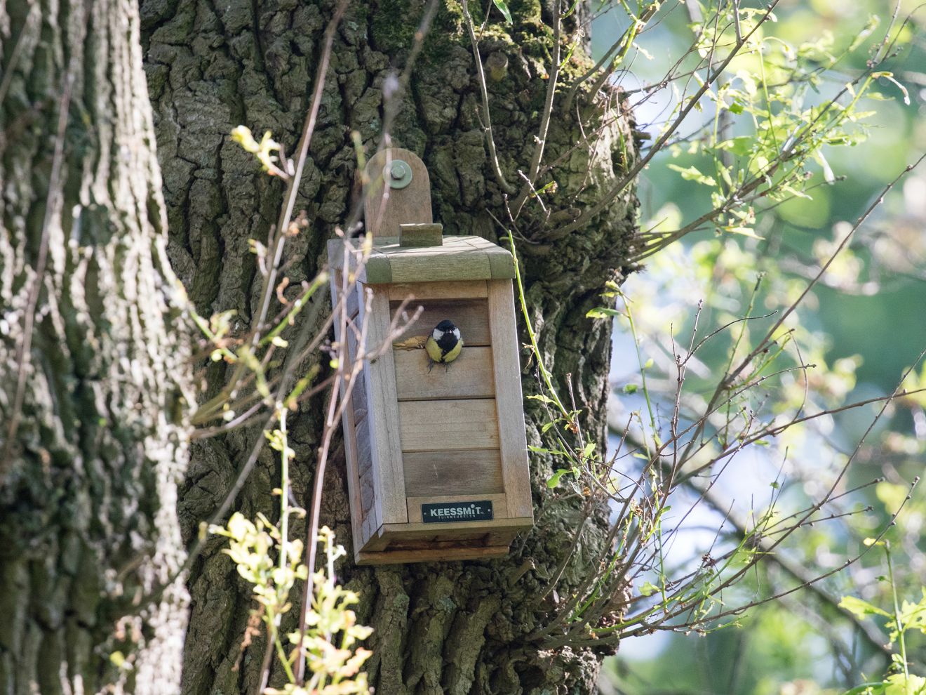 Sunyard Vogelhaus Rabatt: 20 %...