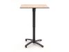 Bellagio Canzo Klapptisch 70x70x73/109 cm verstellbar - Kunststoff