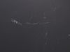 Bellagio Trecenta Bartisch 150x75x105cm - Sintered stone