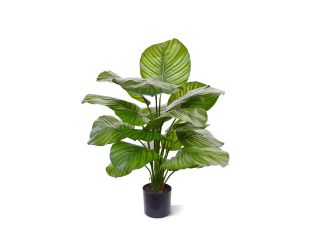 Designplants/Luca Lifestyle Calathea Fasciata Kunstpflanze (h:70 cm) mit Bordo Balloon Blumentopf - Grün (Blumentopf = Sand)