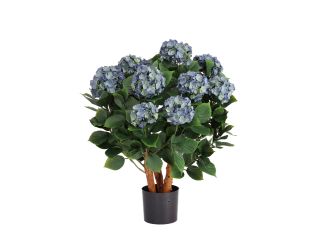 Designplants/Luca Lifestyle Hortensie Kunstpflanze (h:80 cm) mit Grigio Balloon Blumentopf - Blau (UV beständig) (Blumentopf = Antique White)