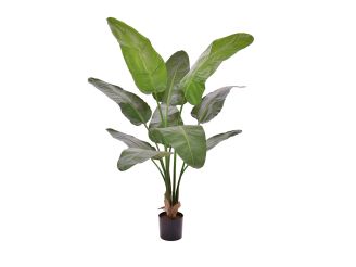 Designplants/Luca Lifestyle Strelitzia Nicolai Kunstpflanze (h:145 cm) mit Terreno New Egg Blumentopf - Grün (Blumentopf = Ash Brown)