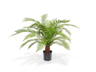 Designplants/Luca Lifestyle Alsophillia Farn Kunstpflanze (h:80 cm) mit Grigio New Egg Blumentopf - Grün (UV beständig) (Blumentopf = Antique White)