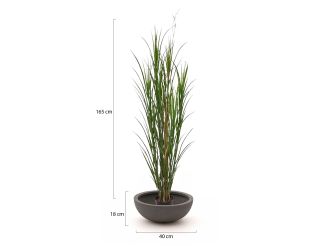 Designplants/Luca Lifestyle Riedgras Kunstpflanze (h:165 cm) mit Terreno Bowl Blumentopf - Grün (UV beständig) (Blumentopf = Ash Brown)
