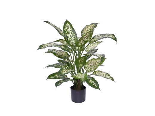 Designplants Dieffenbachia Kunstpflanze (h: 60 cm) - Grün für Topfgröße S
