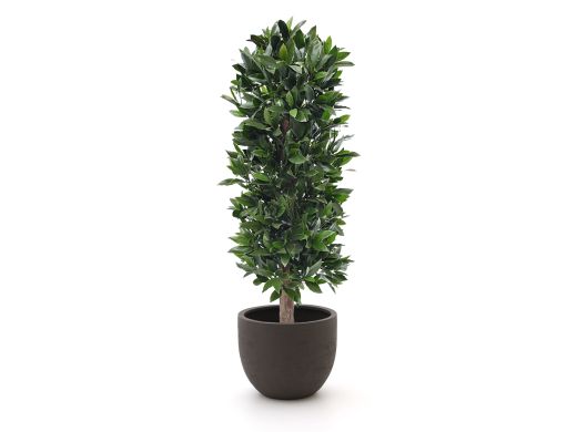 Designplants/Luca Lifestyle Lorbeer Säule Kunstpflanze (h:125 cm) mit Terreno New Egg Blumentopf - Grün (UV beständig) (Blumentopf = Ash Brown)