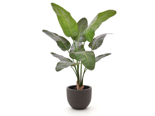 Designplants/Luca Lifestyle Strelitzia Nicolai Kunstpflanze (h:145 cm) mit Terreno New Egg Blumentopf - Grün (Blumentopf = Ash Brown)