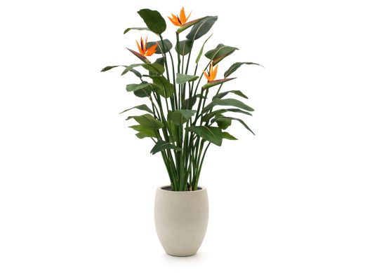 Designplants/Luca Lifestyle Strelitzia Kunstpflanze (h:145 cm) mit Grigio Tall Balloon Blumentopf - Orange (Blumentopf = Antique White)