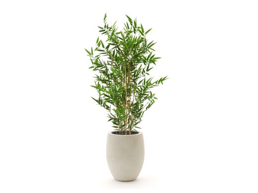 Designplants/Luca Lifestyle Japanischer Bambus Kunstpflanze (h:90 cm) mit Grigio Tall Balloon Blumentopf - Grün (UV beständig) (Blumentopf = Antique White)