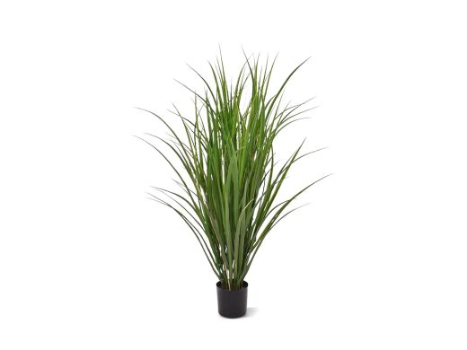 Designplants Schilfgras Kunstpflanze (h: 100 cm)