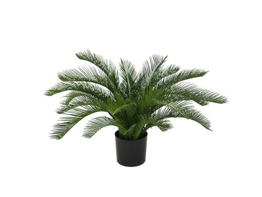 Designplants Cycas-Palme Kunstpflanze (h: 60 cm)