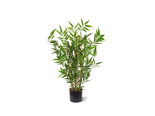 Designplants Japanischer Bambus Kunstpflanze (h: 60 cm)