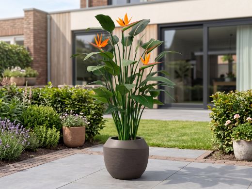 Designplants Strelitzia Kunstpflanze (h: 145 cm) - Orange für Topfgröße L