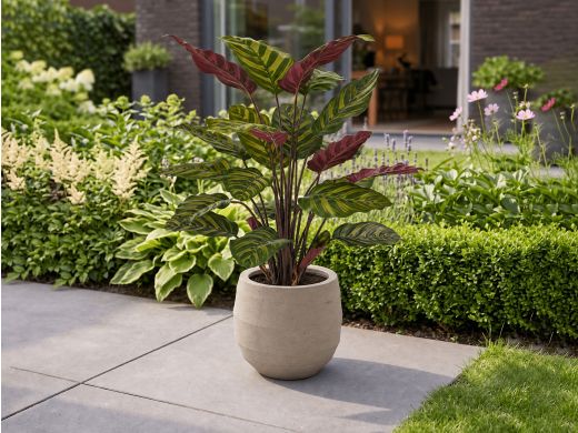 Designplants Red Calathea Makoyana Kunstpflanze (h: 60 cm) - Grün für Topfgröße S