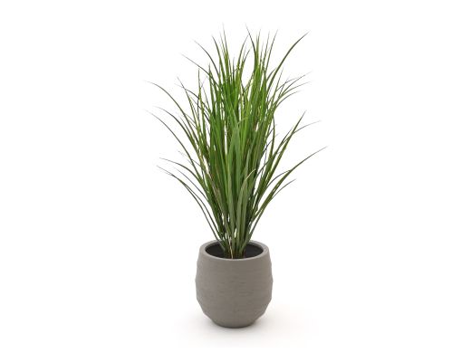 Designplants/Luca Lifestyle Reitgras Kunstpflanze (h:100 cm) mit Bordo Balloon Blumentopf - Grün (UV beständig) (Blumentopf = Clay)