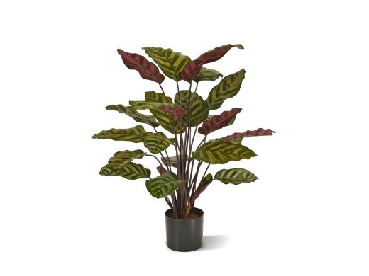 Designplants Red Calathea Makoyana Kunstpflanze (h: 60 cm) - Grün für Topfgröße S